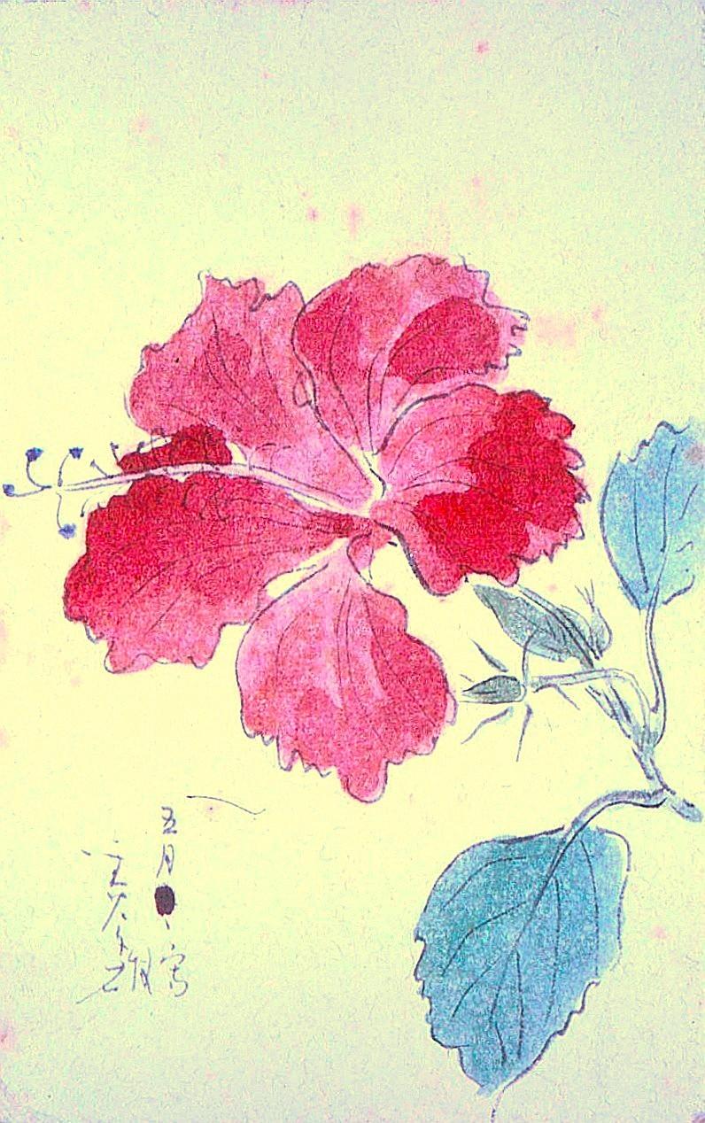 〔ハイビスカス〕_前田美千雄筆 絹子あて絵手紙_昭和19(1944)年5月_フィリピンからの第一便_(公財)柿衞文庫蔵.JPG